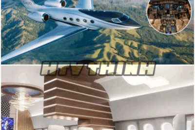 The Gulfstream G800: A $75 Million Luxury Jet That Redefines Time Travel ✈️✨