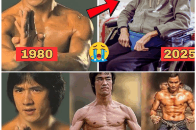 ⚠️ TRUTH EXPOSED: Fame, Fists, and Fallout – The Dark Side of Your Favorite Martial Arts Heroes!