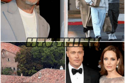🐿️💔 Angelina Jolie Sells Multi-Million Dollar House Near Brad Pitt Just as Twins Knox & Vivienne Turn 17 — Shocking Reason Why Brad Pitt Didn’t Show Up to Their Birthday!