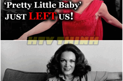 🐿️ “Pretty Little Baby” EXPLODED… Then Connie Francis Went SILENT 😱 — The Stunning Rise and Shocking Fall of America’s Sweetheart, and the Dark, Untold Events That Snuffed Out One of Music’s Brightest Voices in a Heartbeat 🔥