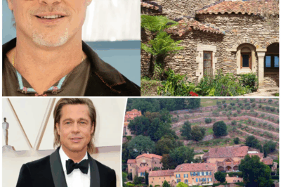 🏰 “Brad Pitt BUYS A CASTLE?! $50 Million Fortress Stuns Fans — Wait Till You See the Dungeon!”
