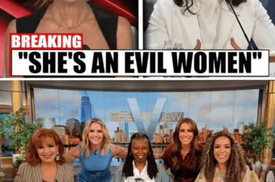 Tulsi Gabbard’s Fiery Showdown on “The View”: A Takedown That Left Joy Behar Speechless