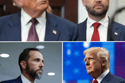 JD Vance’s Shocking Denial: Did He Hide the Epstein Files to Protect Trump? The True Crime Documentary Exposes the Secrets!