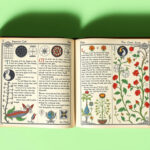 Unlocking the Secrets of the Voynich Manuscript: Has This Enigmatic Text Finally Been Deciphered?