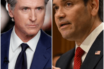 When Politics Collide: Gavin Newsom’s Bold Claim Meets Marco Rubio’s Unexpected Heartfelt Story