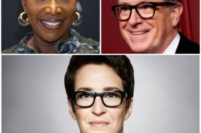 NO BOSSES, NO SCRIPTS, JUST TRUTH: RACHEL MADDOW’S ROGUE NEWSROOM HAS ARRIVED