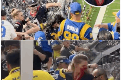 🦊 “STADIUM DESCENDS INTO CHAOS!” Shocking New Angles From Texans-Rams Brawl EXPOSE Who Threw the First Punch — And What the NFL Isn’t Telling You 🎥💥