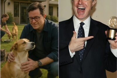 Breaking Good News: Stephen Colbert Pledges $10 Million for a Sanctuary for Abandoned Dogs and Cats
