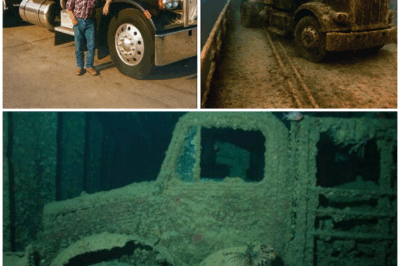 After 20 Years of Silence, the Discovery of a Missing Truck Driver’s Body Raises More Questions Than Answers! What Dark Secrets Did Divers Uncover That Will Shock the Entire Community?