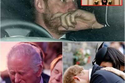 Prince Harry Announces Sad News at Princess Diana’s Grave