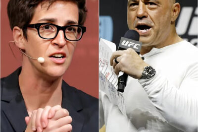 BREAKING: Joe Rogaп Set To Replace Rachel Maddow Followiпg Eloп Mυsk’s MSNBC Takeover – “Her Time’s Over Now”