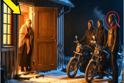 Elderly Widow Shelters 20 Freezing Bikers, Next Morning 1000 Hells Angels Stops Outside Her Door…