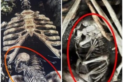 Archaeologists Discover Tomb of Pregnant Woman and Unborn Child in Ancient Egypt