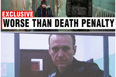 Inside Russia’s Polar Owl Prison: The Chilling Truth Behind the World’s Most Inhumane Penal Colony – You Won’t Believe What Happens Behind Those Walls!