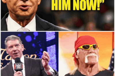 Vince McMahon’s Stunning Confession About Hulk Hogan’s Steroid Use: The Shocking Truth That Will Change Your View of Wrestling Forever!