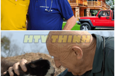 THIS Tragic Accident Caused The Ending Of The Incredible Dr. Pol – HTT
