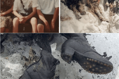 😱 Lost Since 1988, Found in Ice: The Chilling Discovery of the Yamamoto Family on Everest Stuns the World 🏔️💔