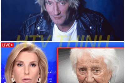 “NEVER FORGET…” – At 80, Rod Stewart’s Untold Tragedy Leaves Fans in Tears