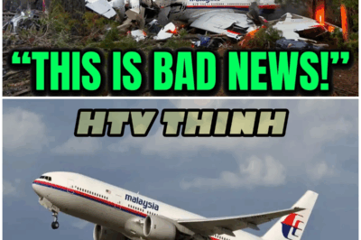 MH370 Mystery Unraveled by AI: A Terrifying Truth That Challenges Everything We Thought We Knew About the Disappearance. – HTT