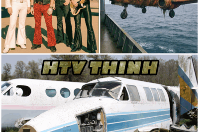 Rock Band Vanishes, 19 Years Later a Mother Finds the Truth She Wasn’t Ready For – HTT