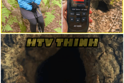 Hiker Vanished in Appalachians, 6 Years Later Explorers Pick Up a Strange Signal Near Cave… – HTT