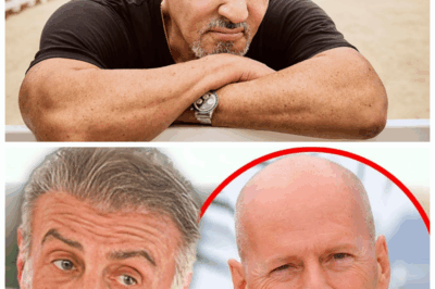 🎬💥 Sylvester Stallone, 78, Unleashes Explosive Truth About Bruce Willis — Hollywood’s Darkest Secret Revealed! 😱🔥 After decades of silence, Stallone shatters the silence with a jaw-dropping confession exposing a twisted tale of rivalry, betrayal, and heartbreak behind the scenes with Bruce Willis. This shocking revelation uncovers a hidden war that rocked Tinseltown, leaving fans stunned and desperate for answers in a saga no one saw coming! 👇