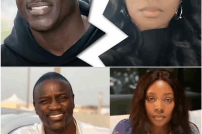 Akon Faces Divorce Drama as Wife Tomeka Claims Exclusion of Their Child from $60 Million Estate Sparks Legal Battle