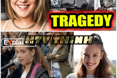 The Mystery of Allie Sherlock: Why She Vanished at the Peak of Her Career? – HTT
