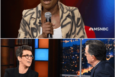 Rachel Maddow, Stephen Colbert, and Joy Reid Rumored to Launch ‘Revolutionary Newsroom’ That Could Upend U. S.Media