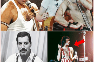 Freddie Mercury’s Final Bow: The Untold Story Behind Queen’s Last Live Concert