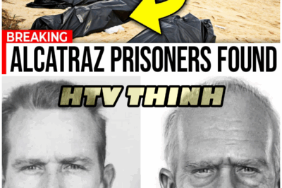 The Alcatraz Escape: A Genius Plan That Ended in Chilling Tragedy – HTT