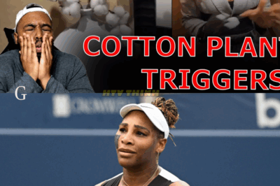 Serena Williams TRIGGERED After Discovering Cotton Plant in NYC Hotel Room — The Shocking Symbol That Sparked a Fiery Outburst!