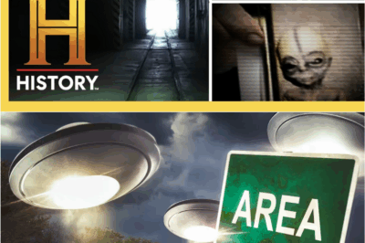 🚨 “Ancient Aliens Were Right? 🤯 Disturbing New Evidence Found Inside Area 51 Vaults…”