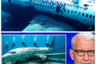 After 11 Years of Heartbreak 💔🌊 Underwater Drone FINDS MH370 — The Search That Shook the World Is Over! 🚨✈️ The emotional storm surrounding this tragic disappearance finally calms as the drone’s discovery unlocks a vault of shocking truths and dramatic twists, forever changing the story of MH370 and the lives it touched! 👇