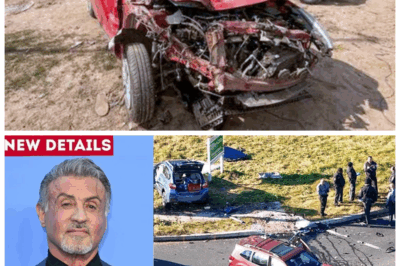 💔 “Sylvester Stallone’s Final Fight: ‘I Didn’t See It Coming…’” — In a shocking and heartbreaking twist that has left Hollywood and fans worldwide reeling, the legendary action star Sylvester Stallone tragically passed away last night in a horrific accident that no one saw coming, leaving a void that feels impossible to fill; whispers of unseen dangers and a mysterious chain of events have emerged, hinting at a cruel fate that struck down the icon just as he was preparing for his next big comeback, shattering dreams and breaking hearts everywhere. What was the tragic accident that ended a hero’s life? The world demands answers! 👇