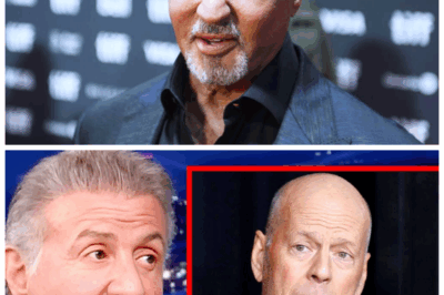 “Hollywood’s Biggest Secret Uncovered! 🔎🚧 Sylvester Stallone Finally Confesses Why He Refused to Work With Bruce Willis Again — The Explosive Truth That Could Ruin Their Careers and Tear Them Apart Forever! 💥😱 ‘He Betrayed Me Beyond Repair,’ Sly Reveals — Fans Are Stunned! 💔🤯”  This is the revelation fans have been waiting for — Stallone finally opens up about a betrayal so severe, it ended their collaboration and threatened their legacies. The reason? A scandalous secret that will leave everyone speechless, involving lies, heartbreak, and revenge. “He betrayed me beyond repair,” Sly confesses, sending shockwaves through Hollywood. Prepare for the most explosive Hollywood scandal of the year! 👇