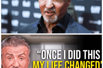 🎬 Stallone’s Secret Success Formula REVEALED: The Emotional Storm That Forged a Hollywood Icon 💥💔 Behind every punch and every tear in the ring, Sylvester Stallone fought a far more brutal battle within—a psychological tempest of doubt, sacrifice, and unyielding grit. Now, in a shocking revelation, he unveils the emotional core of his success, exposing a saga of heartbreak and resilience that propelled him beyond the silver screen. This is not just inspiration—it’s a raw, cinematic confession that will leave you breathless. 👇