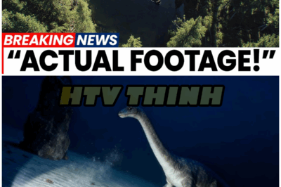 The Iliamna Beast: Is Alaska Hiding a Predator Bigger Than Science Can Explain? – HTT