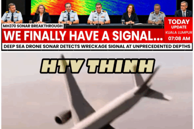 Deep Sea Drone 100x Stronger Sonar Picks Up MH370’s Signal, May FINALLY Solve Everything – HTT