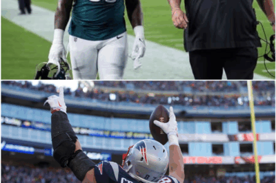 NFL Issues Stern Warning at Spring League Meeting: “Zero Tolerance” Policy Set to Reshape the Game