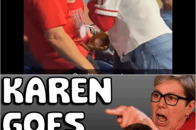 🚨 Outrageous Karen Incident at Phillies vs Marlins Game After Taking Baseball From Child!