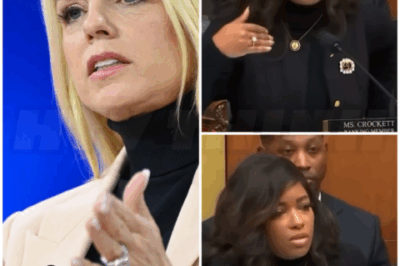 🐻 Jasmine Crockett SMACKS DOWN Pam Bondi
