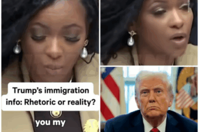 🐻 Crockett Sets the Record Straight on Immigration.