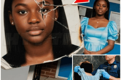 🐻 She Vanished Before Prom: 20 Years Later, a Hidden Dress Found in Motel Wall Reopens Chilling Cold Case