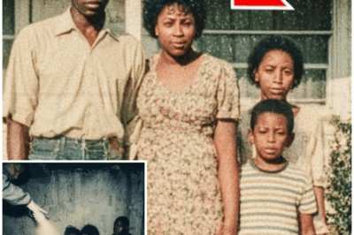 🐻 A Black Family Vanished in 1985—9 Years Later, a Sound Behind the Wall Exposed a Terrifying Secret