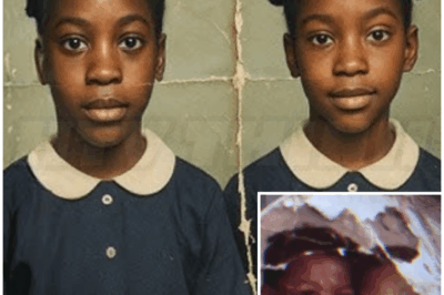 🐻 Black Twin Sisters Disappeared in 2004 — 20 Years Later, One Returned Alone with a Chilling Confess