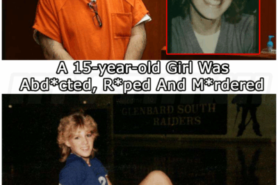 🐻 Man Pleads Guilty To 1985 Rape, Murder Of Glen Ellyn Teen