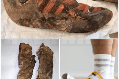 🐻 1,500-Year-Old Mummy Discovered in Mongolia Was Wearing Shoes That Look Exactly Like Modern Adidas — And Experts Are Stunned