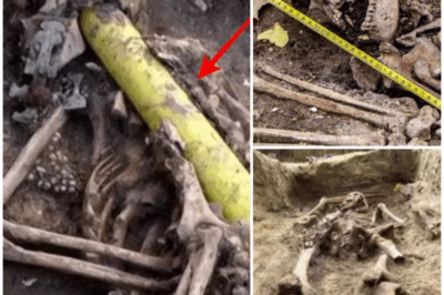 🐻 Controversial Archaeological Find Sparks Debate: Giant Footprints… or Just an Optical Illusion?