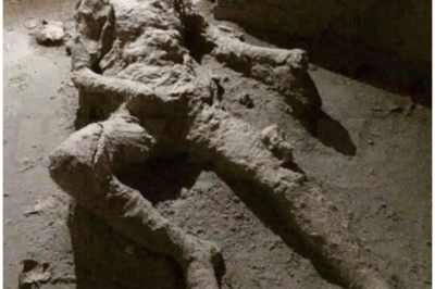 🐻 Pompeii archaeologists baffled as ‘significant’ find shows difference in Roman diets
